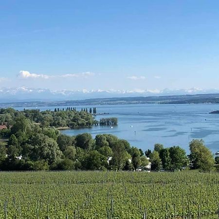 Ferienwohnung "Maisonette Unter Der Burg" Meersburg Eksteriør billede