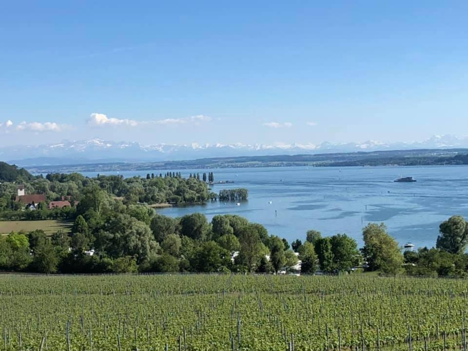 Ferienwohnung "Maisonette Unter Der Burg" Meersburg Eksteriør billede